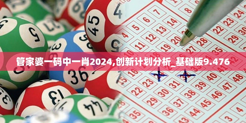 管家婆一码中一肖2024,创新计划分析_基础版9.476