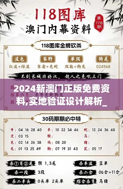 2024新澳门正版免费资料,实地验证设计解析_C版110.342