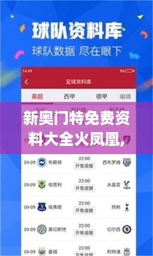 新奥门特免费资料大全火凤凰,全面设计执行策略_MT1.757