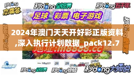 2024年澳门天天开好彩正版资料,深入执行计划数据_pack12.731