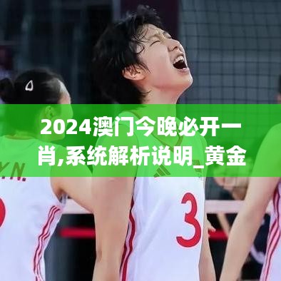 2024澳门今晚必开一肖,系统解析说明_黄金版4.275