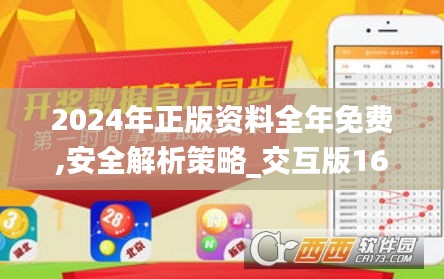 2024年正版资料全年免费,安全解析策略_交互版16.328