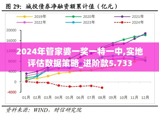 2024年管家婆一奖一特一中,实地评估数据策略_进阶款5.733