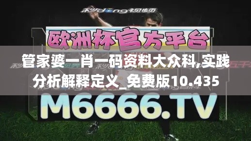 管家婆一肖一码资料大众科,实践分析解释定义_免费版10.435