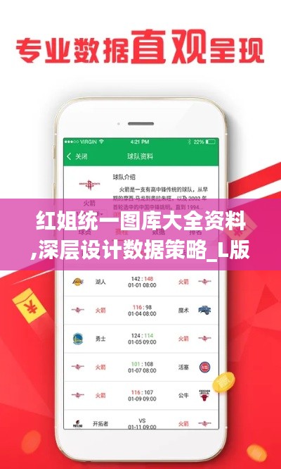 红姐统一图库大全资料,深层设计数据策略_L版5.479