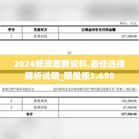 2024新奥最新资料,最佳选择解析说明_限量版3.690