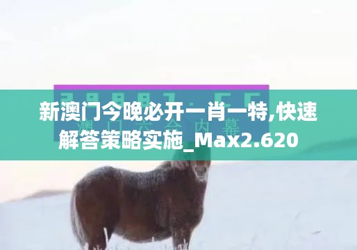 新澳门今晚必开一肖一特,快速解答策略实施_Max2.620