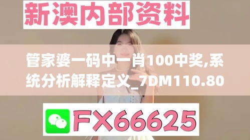 管家婆一码中一肖100中奖,系统分析解释定义_7DM110.807