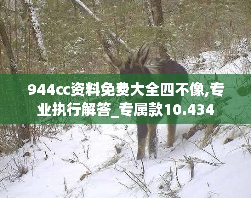 944cc资料免费大全四不像,专业执行解答_专属款10.434