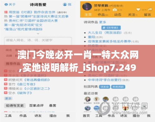 澳门今晚必开一肖一特大众网,实地说明解析_iShop7.249