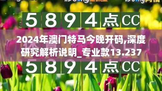 2024年澳门特马今晚开码,深度研究解析说明_专业款13.237