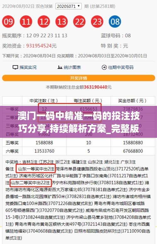 澳门一码中精准一码的投注技巧分享,持续解析方案_完整版5.890