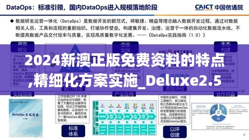 2024新澳正版免费资料的特点,精细化方案实施_Deluxe2.532