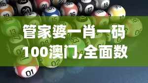 管家婆一肖一码100澳门,全面数据策略解析_PalmOS110.606