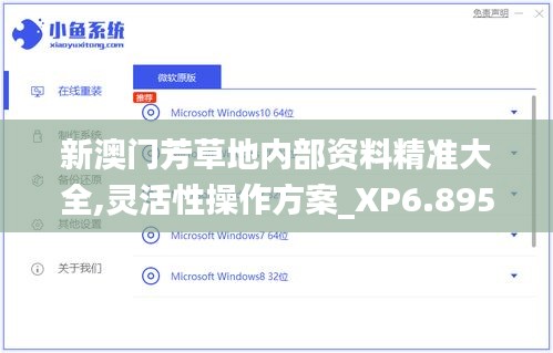 新澳门芳草地内部资料精准大全,灵活性操作方案_XP6.895