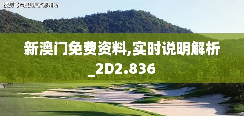 新澳门免费资料,实时说明解析_2D2.836