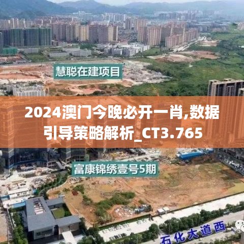 2024澳门今晚必开一肖,数据引导策略解析_CT3.765