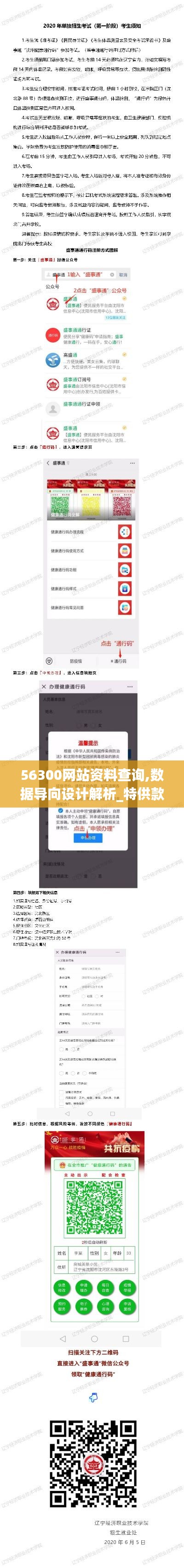 56300网站资料查询,数据导向设计解析_特供款3.779