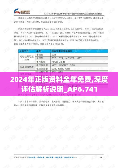 2024年正版资料全年免费,深度评估解析说明_AP6.741