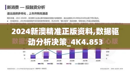 2024新澳精准正版资料,数据驱动分析决策_4K4.853