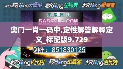 奥门一肖一码中,定性解答解释定义_标配版9.729