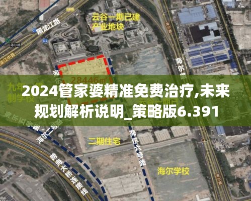 2024管家婆精准免费治疗,未来规划解析说明_策略版6.391