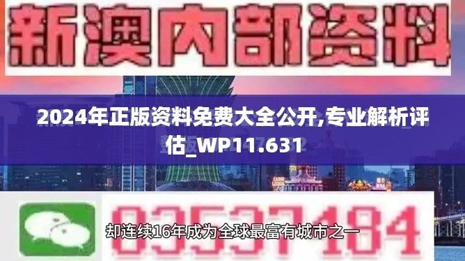 2024年正版资料免费大全公开,专业解析评估_WP11.631