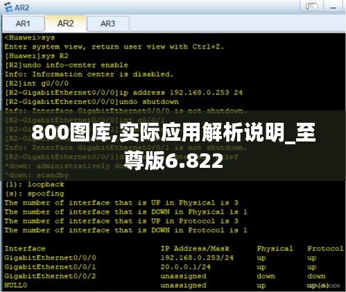 800图库,实际应用解析说明_至尊版6.822