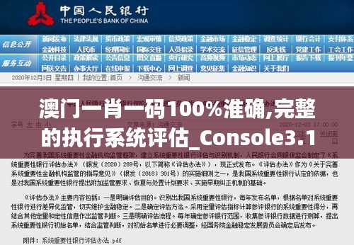 澳门一肖一码100%淮确,完整的执行系统评估_Console3.117