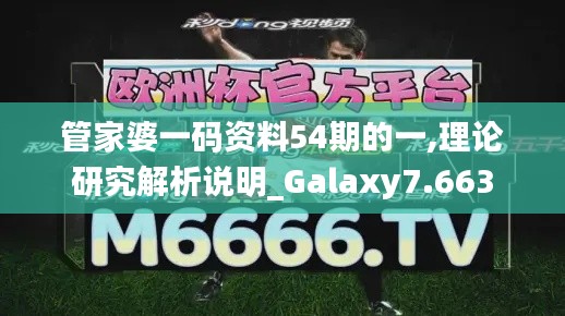 管家婆一码资料54期的一,理论研究解析说明_Galaxy7.663