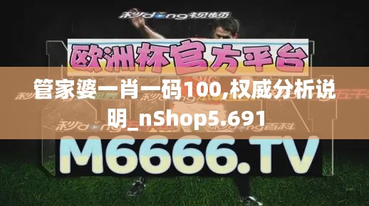 管家婆一肖一码100,权威分析说明_nShop5.691