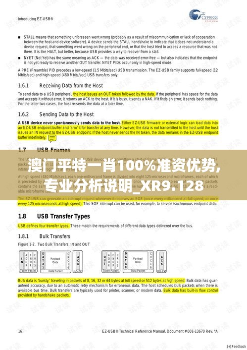 澳门平特一肖100%准资优势,专业分析说明_XR9.128