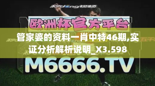 管家婆的资料一肖中特46期,实证分析解析说明_X3.598