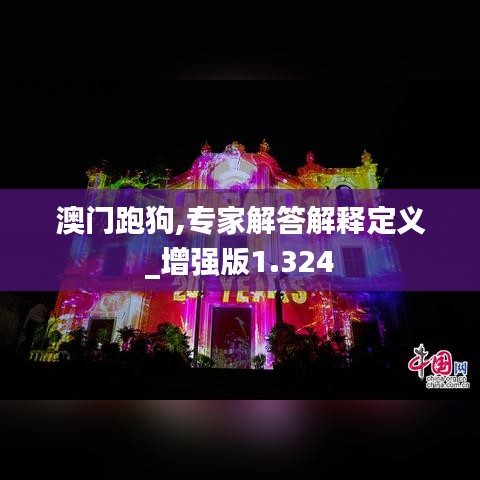 澳门跑狗,专家解答解释定义_增强版1.324