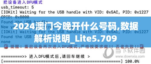 2024澳门今晚开什么号码,数据解析说明_Lite5.709