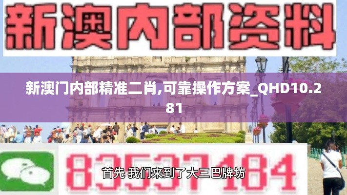 新澳门内部精准二肖,可靠操作方案_QHD10.281