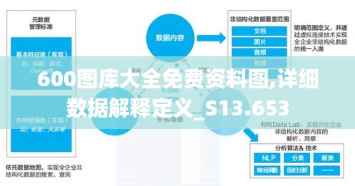 600图库大全免费资料图,详细数据解释定义_S13.653