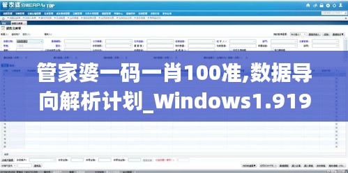 管家婆一码一肖100准,数据导向解析计划_Windows1.919